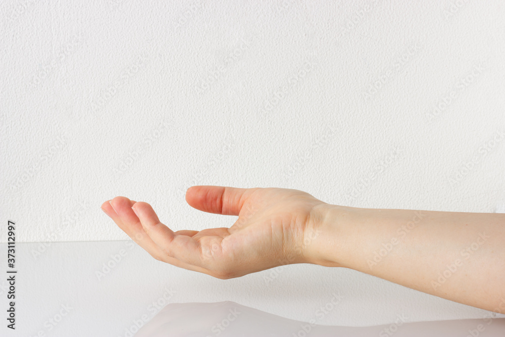 Woman's hand outstretched, woman lends a helping empty hand or need help. Charity concept. White background, copy space. Woman's hand outstretched, woman lends a helping empty hand or need help. Charity concept. White background, copy space.