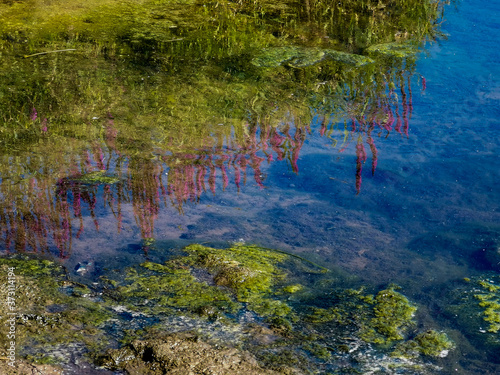 Fototapeta Naklejka Na Ścianę i Meble -  reflections in the water