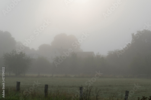 Dämmerung am Morgen mit etwas Nebel im Bruch von Bünde, eine Flußniederung, Tal Fototapet
