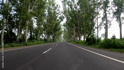 Tree covered road fast moving view back of bike
