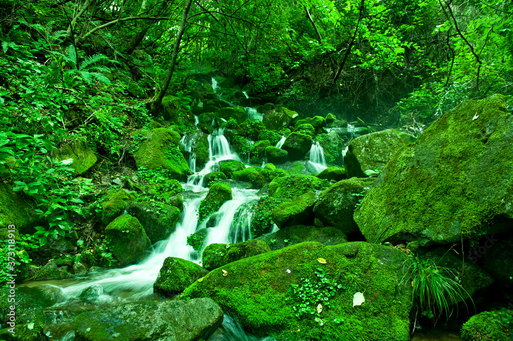 Mossy valley,Beautiful mountain stream with moss covered stone. Mossy valley,Beautiful mountain stream with moss covered stone.