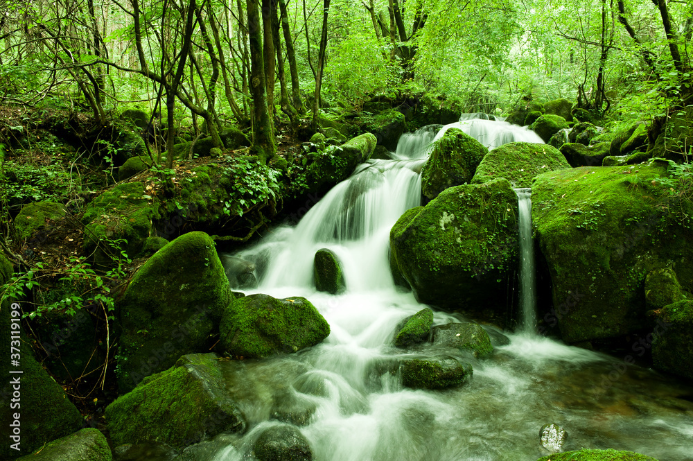 Mossy valley,Beautiful mountain stream with moss covered stone. Mossy valley,Beautiful mountain stream with moss covered stone.