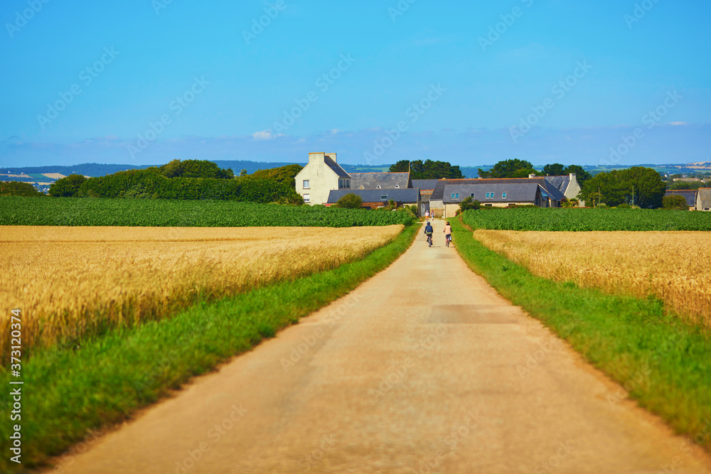 Φωτογραφία road through golden wheat field in Finistere, Brittany, France