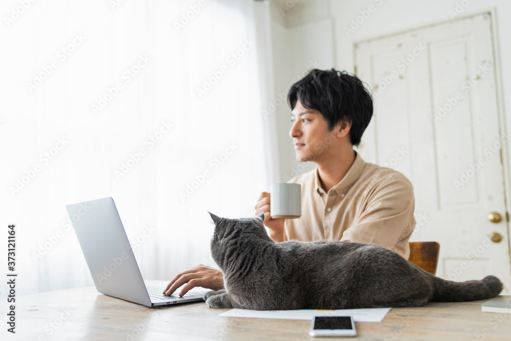 Fototapeta premium One man working remotely and a cat.
