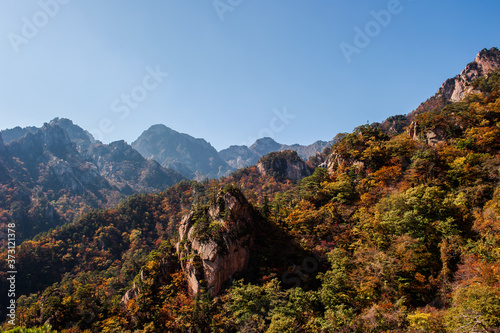 The landscape of autumn mountain background blue sky.