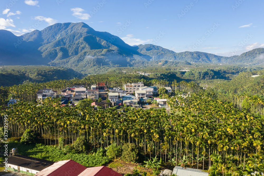 Yuchi landscape with betel trees