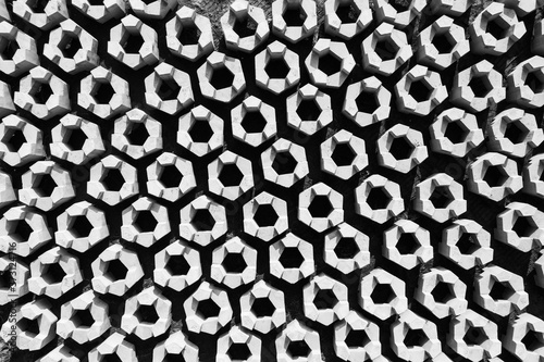 tetrapods landscape in black and white