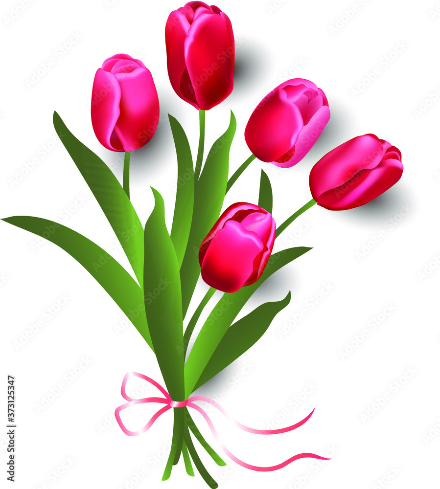 Fototapeta premium Bouquet of spring flowers tulips, decorative design, vector illustration