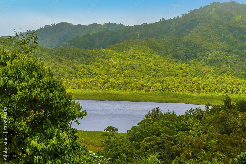 A view towards Grand Etang Lake in the jungle of Grenada