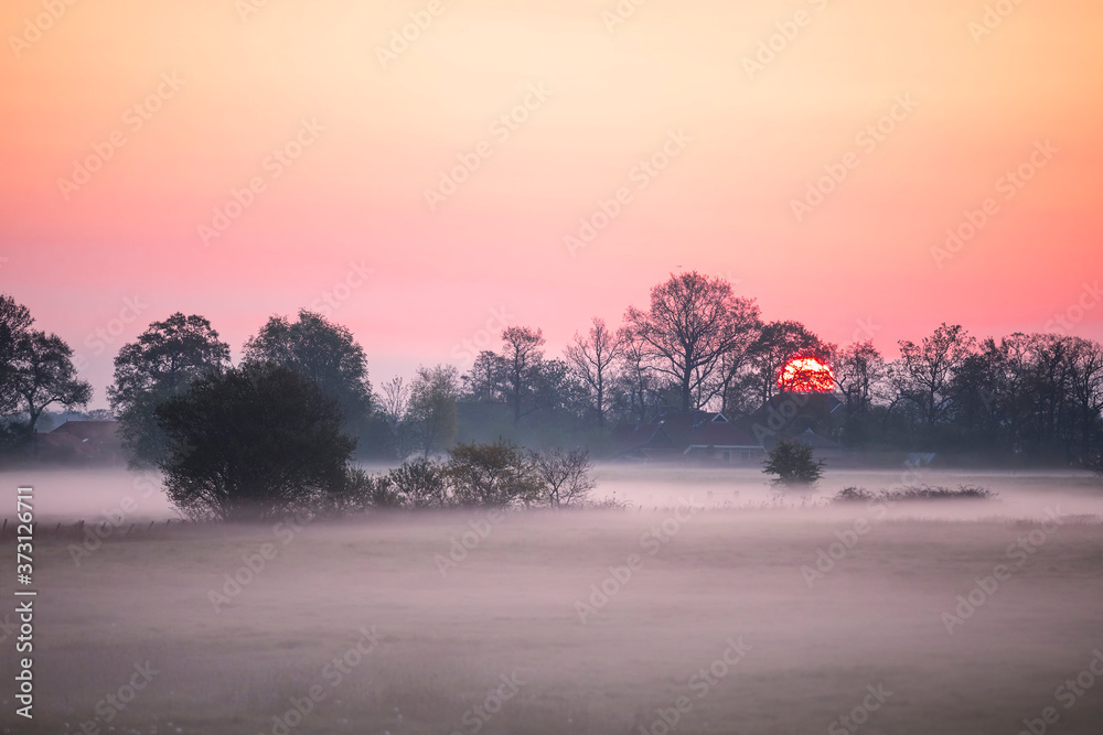 serene misty dawn on farmland