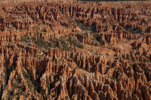 red rock formations in Bryce canyon national park