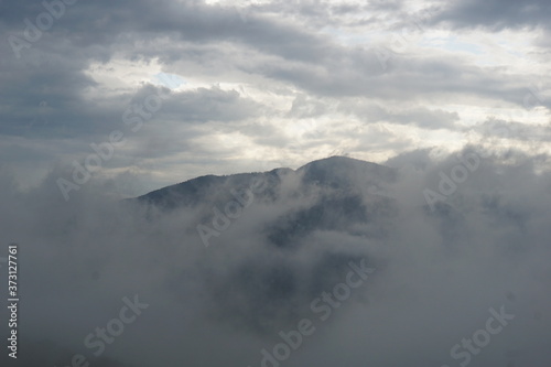 Dense fog in the forests of the Rhodope Mountains, Bulgaria