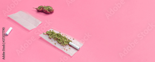 Photography Marijuana and materials to roll a cannabis joint isolated on pink background with copy space right