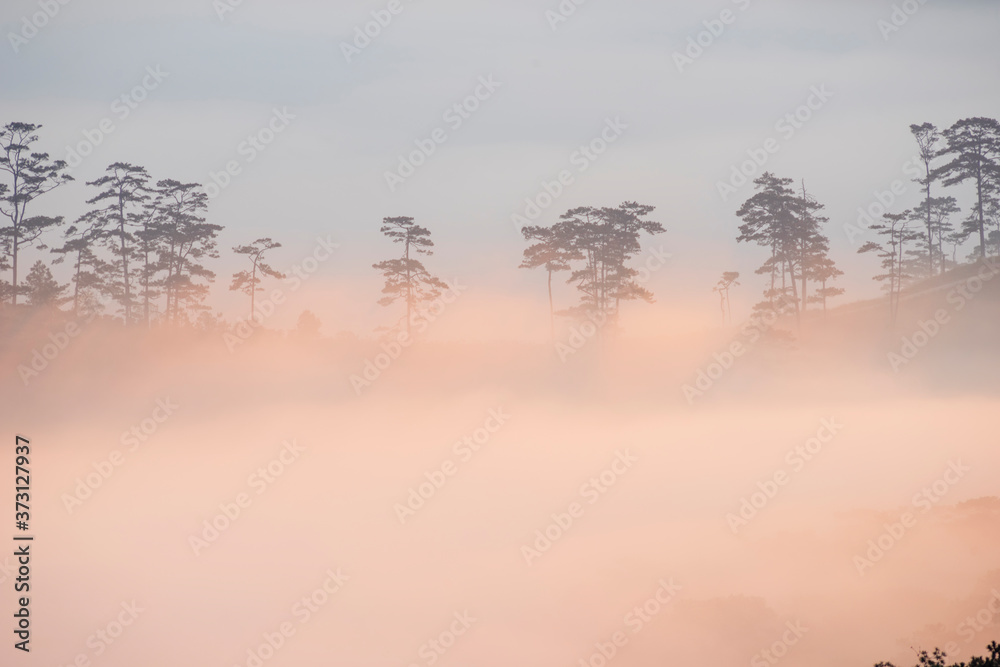 Fototapeta premium dramatic moment of fog and light at sunrise
