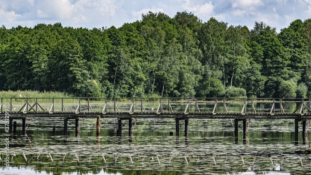 Wooden bridge in the center of a forest pond Wooden bridge in the center of a forest pond
