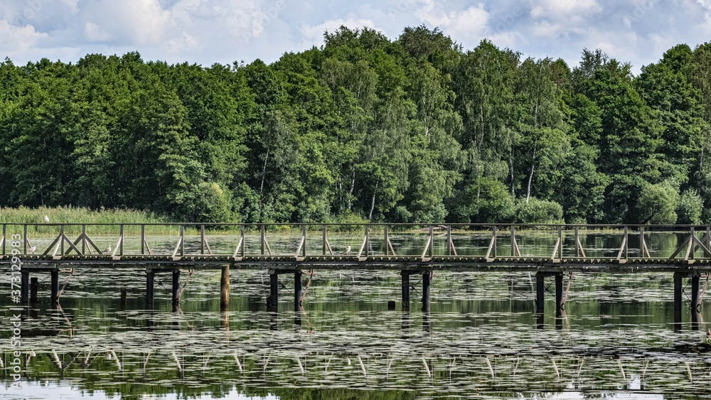 Wooden bridge in the center of a forest pond