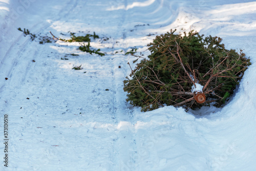 Old discarded christmas tree lying on a snowy road