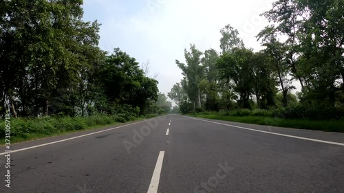 back view of a bike on a tree covered road