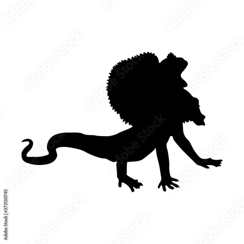 Frilled Lizard (Chlamydosaurus Kingii) Silhouette Found In Map Of Oceania