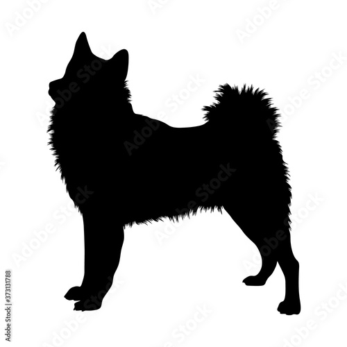 Finnish Spitz Silhouette Found In Map Of Europe Isolated On White Background