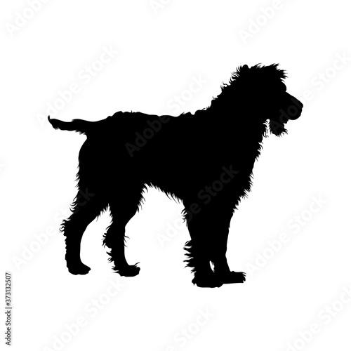 Epagneul Pont Audemer Dog Silhouette Found In Map Of Europe