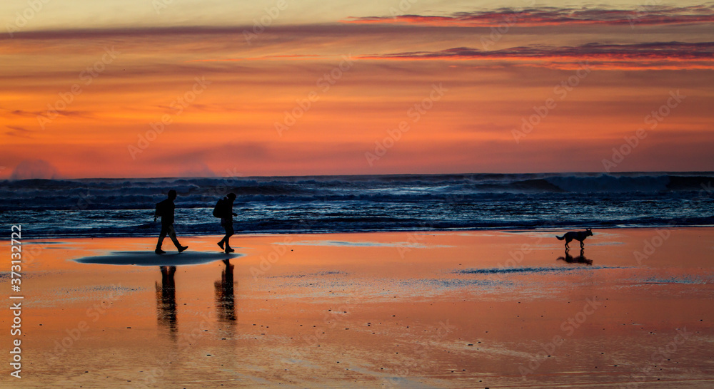A couple walking their do at sunset on the beach at seaside, Oregon.