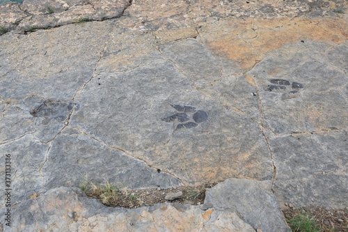 Trace of ichnites of Theropod. Site of ichnites (dinosaur footprints) of Peñaportillo, Munilla photo