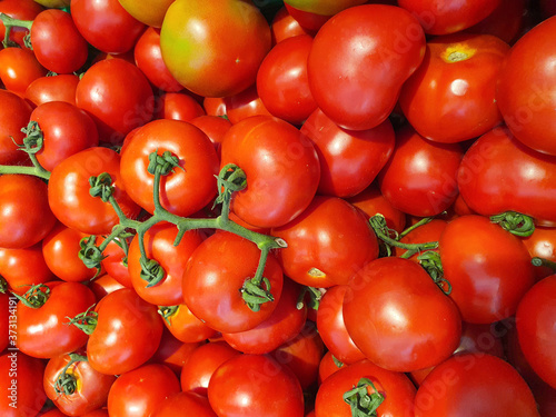 Italian red vine tomatoes grouped for sale