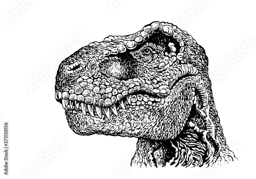 Graphical portrait of tyrannosaurus isolated on white background, vector illustration,dinosaur 