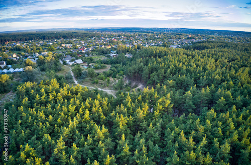 Beautiful green coniferous forest near a beautiful city