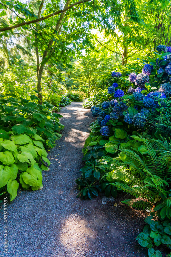 Obraz premium Botanical Garden Path