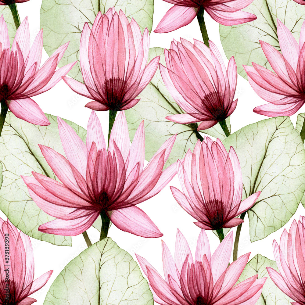 Naklejka akwarela wzór z przezroczystymi kwiatami i liśćmi lotosu. różowy przezroczysty lotos, prześwietlenie, na białym tle. piękny kwiat symbol japonii, chin. projekt tkaniny, tapety