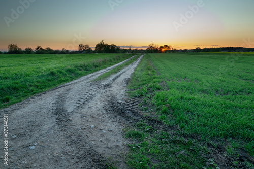 Traces of wheels on a dirt road through green fields during sunset