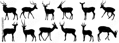 set of antelope, gazelle shadow flat design vector illustration. Hand drawn. photo