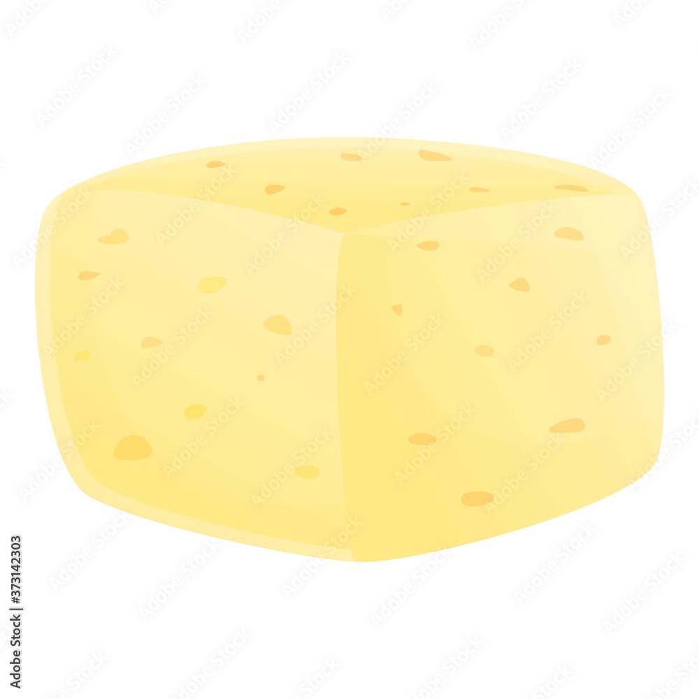 Gouda cheese icon. Cartoon of gouda cheese vector icon for web design isolated on white background