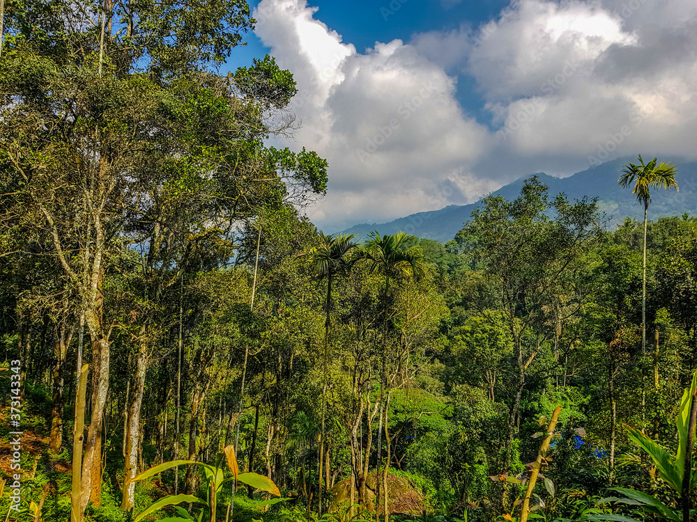 Munnar Nature and Landscape photography Munnar Nature and Landscape photography