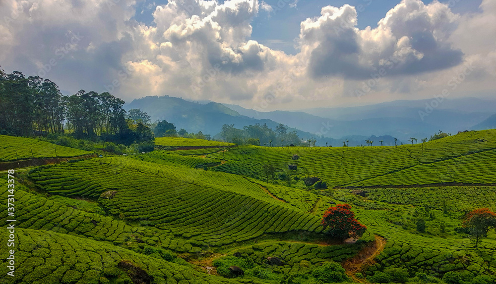 Munnar Nature and Landscape photography