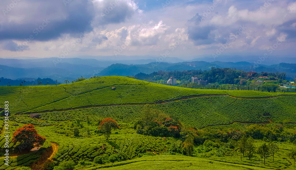 Munnar Nature and Landscape photography