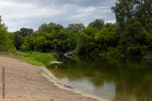 Sandy beach on the river in the forest on a sunny day