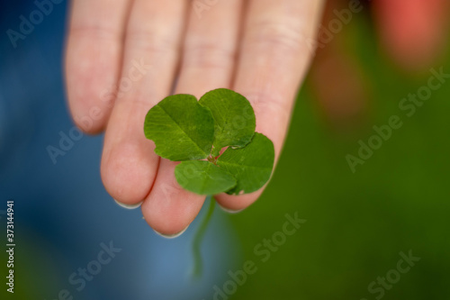 Four leaf clover held in hand