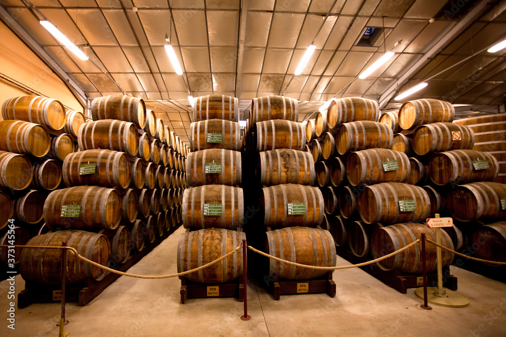 Barrels in the cellar with whiskey, Calvados, cognac, brandy that is ripening