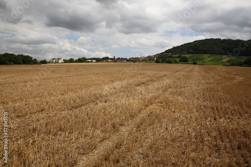 View of Golden Straw Hay German farm field with rural scene during summer near Heidelberg  Germany