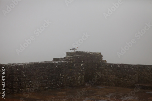 Ancient impregnable abbey fortress on an island in normandy photo