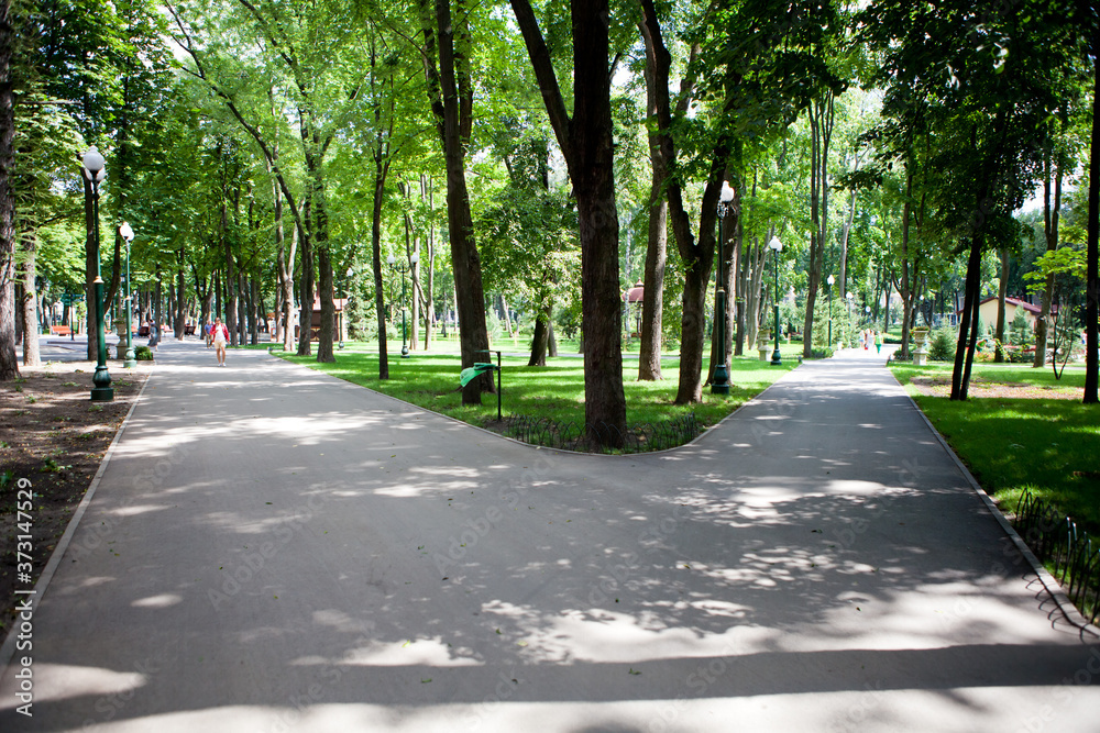 Alleys and paths of the park with tall green trees on a sunny day along which people walk Alleys and paths of the park with tall green trees on a sunny day along which people walk