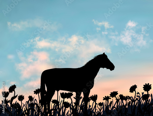 One horse stands on the lawn full of camomile flowers. Countryside meadow at the sunset. Simple silhouette illustration under the realistic vector sky.