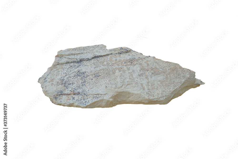 Shale is a fine-grained sedimentary rock, isolated on white background.