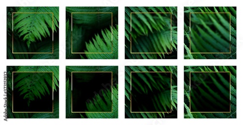 Template of a post for advertising in social networks. Web banner ads for promotion with a tropical green background and gold borders. © Татьяна Шипулина