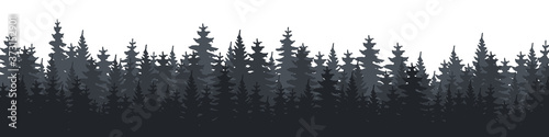Forest. Forest Panorama. Forest background. Christmas Tree. Vector illustration