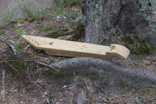 Karelian folk instrument kantele on the background of tree roots photo