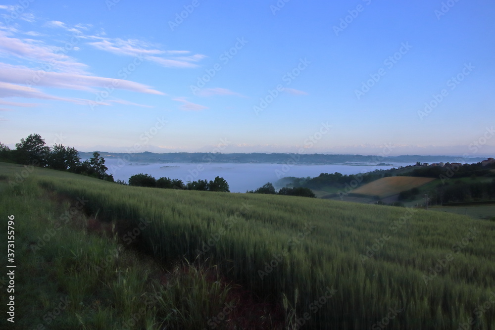 A view of the dense fog shrouding the Monferrato Astigiano hills in Piedmont. 